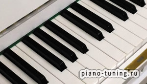 Замена клавиш в пианино